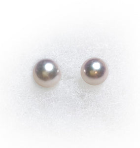 8mmアコヤ真珠(普通)の耳飾り 送料無料